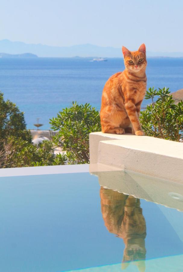 Villa With View Of Agios Ioannis And Pool With Jacuzzi Bagian luar foto